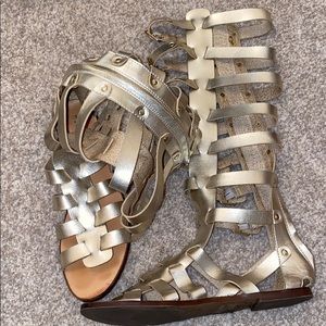 Gold Knee High Gladiators
